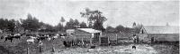 General view of the Christchurch Drainage Board's sewage farm, Bromley, Christchurch